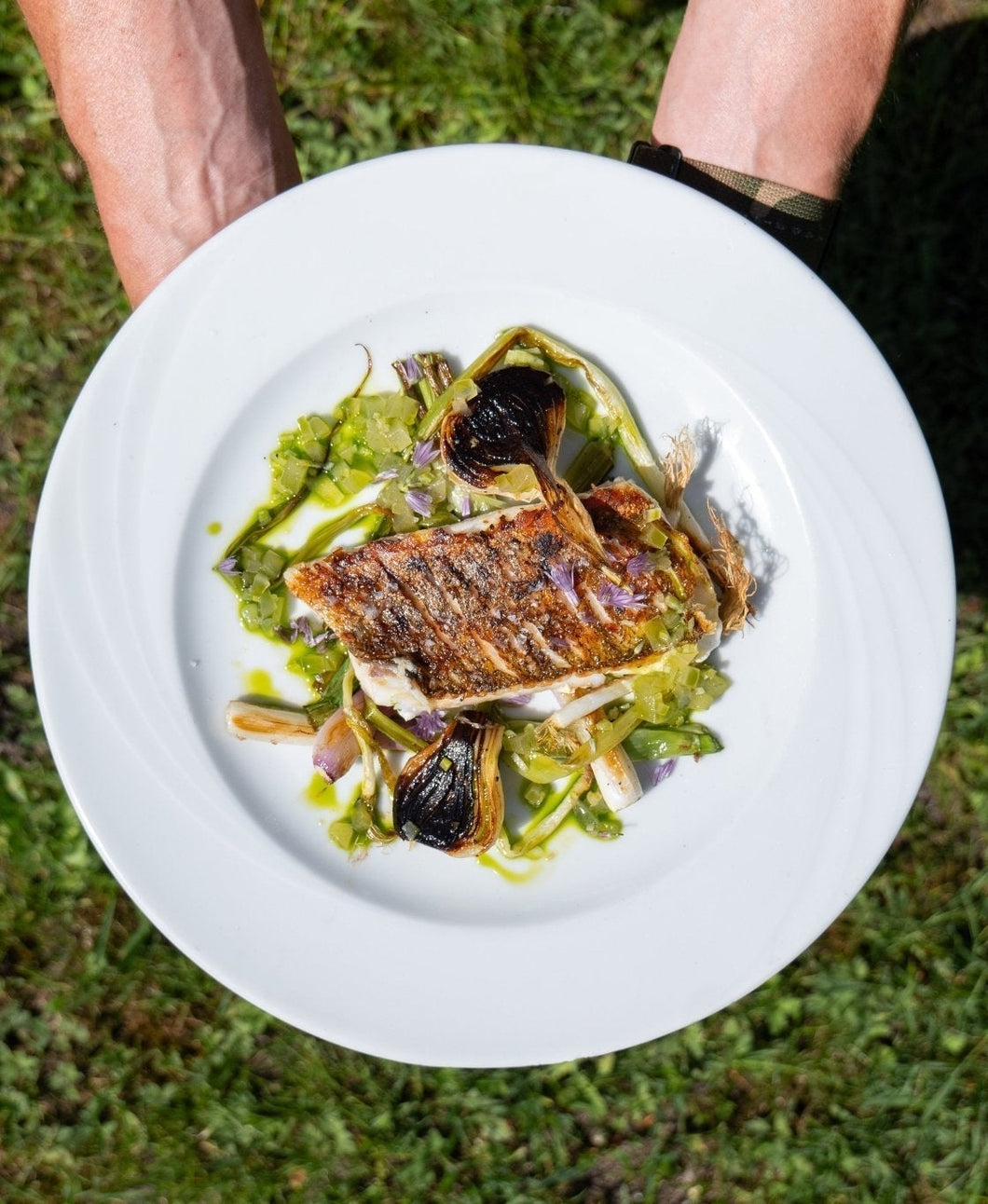 Stegt kyllingebryst med pandesauce | Opskrift fra Thomas Rode